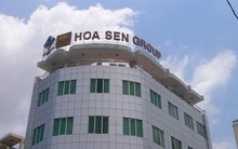 Tập đoàn Hoa Sen (HSG) bất ngờ giải thể một công ty liên kết