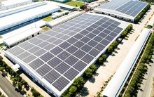 Bamboo Capital và Tracodi xin lỗi cổ đông khi cổ phiếu bị đình chỉ