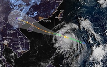 Bão số 11 Matmo thành cuồng phong khi vào biển Đông, gió giật 125 km/h