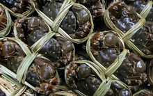 Cua ghẹ Việt đổi dòng chảy: Mỹ tiêu thụ chậm, một thị trường quan trọng khác lại bứt tốc