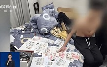 Đột kích 8 căn nhà cấp bốn có loạt máy in đang hoạt động, tịch thu hơn 9,2 tỷ đồng tiền giả từ nhóm đối tượng sinh sau năm 2000