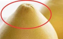 Mùa này có loại quả tốt hơn thịt: Chợ Việt bán sẵn, không mua phí của trời