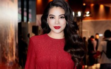 Vụ Trương Ngọc Ánh bị bắt: Doanh nghiệp do nữ diễn viên từng làm Chủ tịch chỉ có 3 lao động nhưng “nhận” góp vốn 9,1 triệu USD từ nhà đầu tư nước ngoài