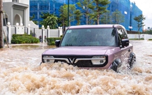 Sở Xây dựng Hà Nội 'đặc biệt rút kinh nghiệm' sau bão Bualoi, chuẩn bị ứng phó bão số 11