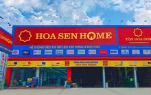 Hoa Sen Group giải thể một công ty liên kết do hoạt động không hiệu quả