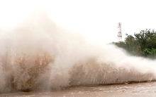 Bão số 11 cách Quảng Ninh 210km, gió mạnh trên đất liền từ đêm nay đến trưa mai