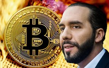 Bitcoin đạt đỉnh, Tổng thống El Salvador đăng bài ăn mừng lãi 156%