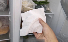 Đặt một tờ giấy trong tủ lạnh, mỗi năm có thể tiết kiệm cả triệu đồng!