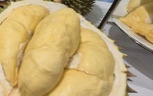 Giá sầu riêng hôm nay 6-10: Tăng mạnh trên diện rộng, cung không đủ cầu