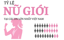 'Đế chế' của ông Phạm Nhật Vượng chỉ có 37,3% nhân sự nữ nhưng các nữ tướng chiếm 59%, ngân hàng là 'thánh địa' của giới nữ ngoại trừ Sacombank