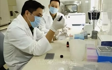 Chế độ phụ cấp đặc thù với công chức, viên chức, lực lượng vũ trang ngành y tế