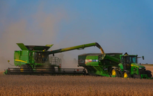 Nhập gần 30 triệu tấn hàng trị giá 13 tỷ USD/năm, một khách sộp 'quay lưng' khiến Mỹ như 'tỉnh mộng': Người bán khổ sở vì không ai mua, 'bẻ lái' sang châu Á, châu Phi cũng không ăn thua