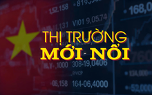 Hành trình chông gai, thành quả rực rỡ: Việt Nam tiến lên thị trường mới nổi sau thập kỷ chờ đợi
