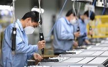 86.400 doanh nghiệp quay trở lại hoạt động trong 9 tháng năm 2025