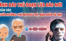 Một người bị lừa toàn bộ số tiền được hưởng chế độ 178