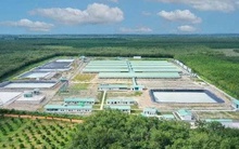 Baf Việt Nam lên kế hoạch phát hành 1.000 tỷ đồng trái phiếu