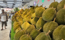 Là vựa sầu riêng lớn nhất Đông Nam Á, đối thủ của Việt Nam cho biết chỉ nhận về 10% giá trị vì trung gian qua Thái Lan, sắp xuất khẩu trực tiếp sang Trung Quốc