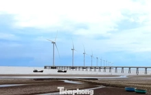 Điều gì đang cản trở thủ phủ điện gió?