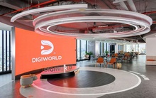 Digiworld hoàn tất phân phối 2 triệu cổ phiếu ESOP