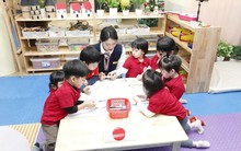 Hà Nội triển khai chính sách miễn học phí cho học sinh công lập từ năm học 2025-2026