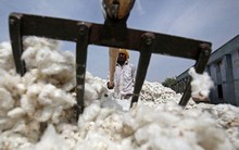 Xuất khẩu sang Trung Quốc lao dốc 90%, Mỹ tăng mạnh đưa sang Việt Nam một mặt hàng quan trọng, nước ta nhập khẩu đứng thứ 3 thế giới