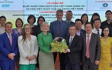 Trái bưởi của Việt Nam chính thức có "visa" vào Úc