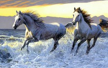 Sang tháng 9 Âm lịch, có 4 con giáp số đỏ, sự nghiệp suôn sẻ từ nay đến cuối năm, tài lộc không đếm xuể