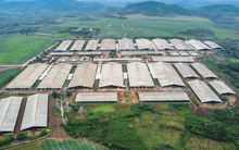 Trước Luật quy định xây trang trại cách nhà dân 200m, DN đã xây cách 270m, nhưng nay Luật tăng lên 400m, DN hỏi thì bộ ban ngành nói phải làm đúng Luật