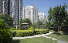 Ngày càng nhiều gia đình thích mua nhà có đặc điểm này: Lúc đầu không ít người chê, càng ở mới càng thấy “lãi”