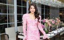 Trước khi bị bắt, diễn viên Trương Ngọc Ánh từng phải bán tài sản để trả nợ