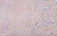 Hơn 1 tháng, Công an TP HCM vẫn đang tìm người nhà thi thể có xăm hình đầu rồng