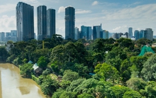 Hành trình từ nợ thuế hơn 800 tỷ đến có lãi của doanh nghiệp sở hữu 17 ha đất vàng giữa phường Sài Gòn