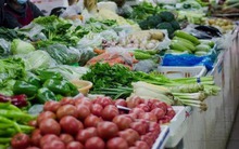 4 loại rau củ không thuốc trừ sâu, bạn đi chợ cứ yên tâm MUA