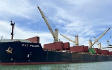 PVT Logistics sắp phát hành hơn 13 triệu cổ phiếu trả cổ tức năm 2024