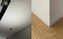 Đẹp trên mạng nhưng thảm họa ngoài đời: 6 thiết kế khiến cả nhà tôi hối hận sau vài tháng ở