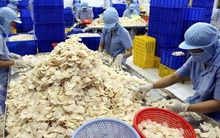 Công ty con của Vĩnh Hoàn muốn huy động gần 465 tỷ đồng để làm gì?