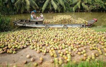 Đặc sản triệu đô của Việt Nam bất ngờ lao dốc cực mạnh: Vì sao nên nỗi?