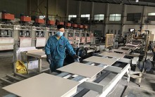 Viglacera sáp nhập 3 công ty trên sàn, 2 mã cổ phiếu sẽ bị hủy