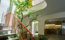 Nhà phố 2,5 tầng tràn ngập ánh sáng tự nhiên