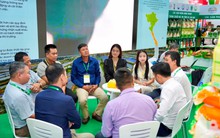 VCCI hỗ trợ doanh nghiệp và HTX trong chuỗi giá trị tôm và lúa gạo tăng cường liên kết, tiếp cận thị trường quốc tế