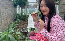 Căn nhà của Dương Vũ Anh, 53 tuổi, gây sốt: Decor sân vườn, bếp nhỏ, góc đọc sách đẹp như tạp chí