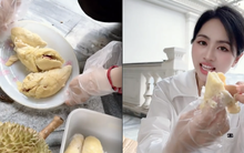 Số phận vườn sầu riêng nhà Mailisa