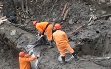 Người đàn ông đào được khúc gỗ đen sì tỏa ra mùi thơm, dài hơn 30m, nặng 60.000 kg: Cảnh sát lập tức phong tỏa hiện trường