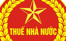 Xoá thuế khoán: Ngành Thuế gửi thư ngỏ tới hộ kinh doanh và cá nhân kinh doanh trên cả nước
