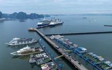 Khung cảnh ở Hạ Long ngay lúc này khiến nhiều người tò mò, nhận xét: "Ở đây đang thực sự có gì?"