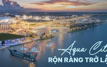 Thấy gì tại dự án "sống còn" của Novaland?