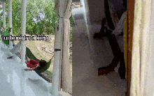 Đặc sản chỉ có ở miền Tây, cả nước không hiểu vì sao lại "gây nghiện"