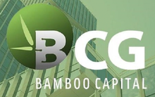 Bamboo Capital sẽ tổ chức đại hội cổ đông bất thường, dự kiến miễn nhiệm hàng loạt lãnh đạo