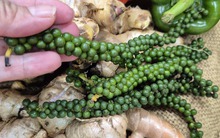 Mỹ chính thức miễn thuế đối ứng với cà phê, tiêu