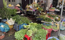 Rau xanh tăng chóng mặt ở chợ bán lẻ, nhiều bà nội trợ thở dài